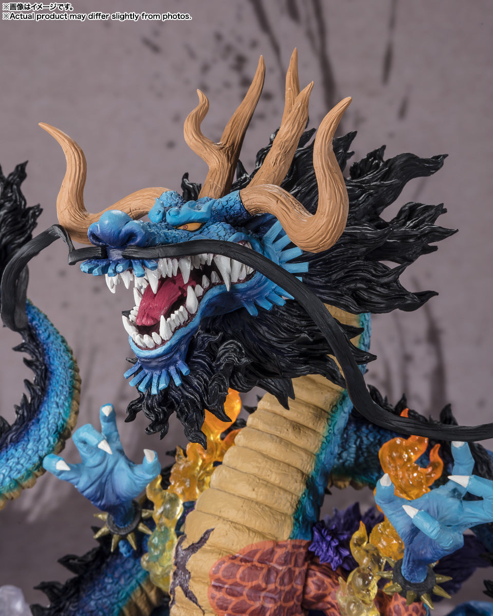 【日本正規品】魂ネイションズ ワンピース Extra Battle スペクタクル 百獣 -双龍-
